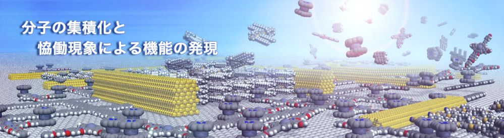 分子の集積化と協働現象による機能の発現