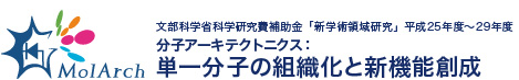 分子アーキテクトニクス：単一分子の組織化と新機能創成