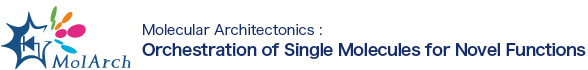 Molecular Architectonics：Orchestration of Single Molecules for Novel Function